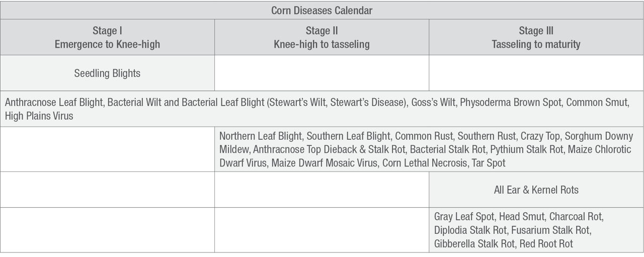 Corn Disease Calendar